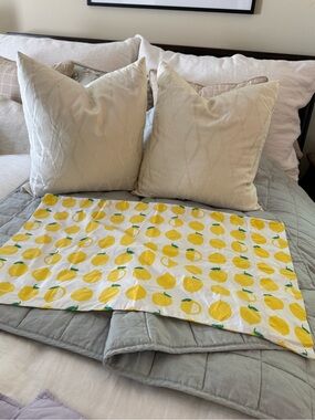 The Land of Nod Lemon-Print standard sham